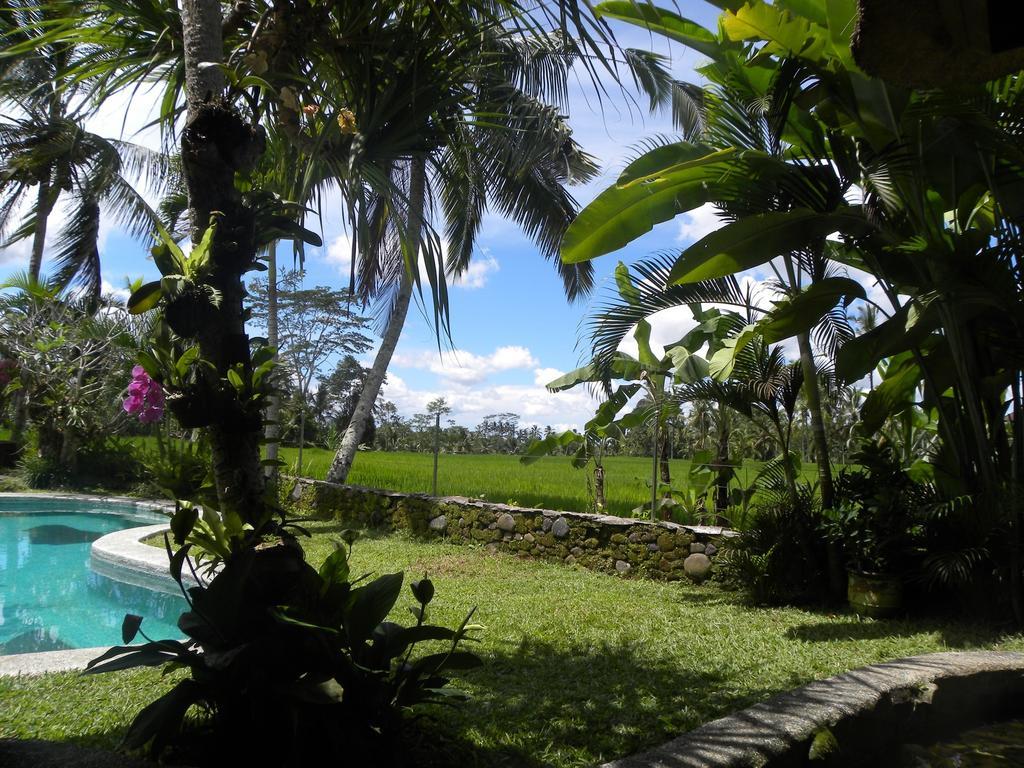 Saudara Home Ubud Dış mekan fotoğraf