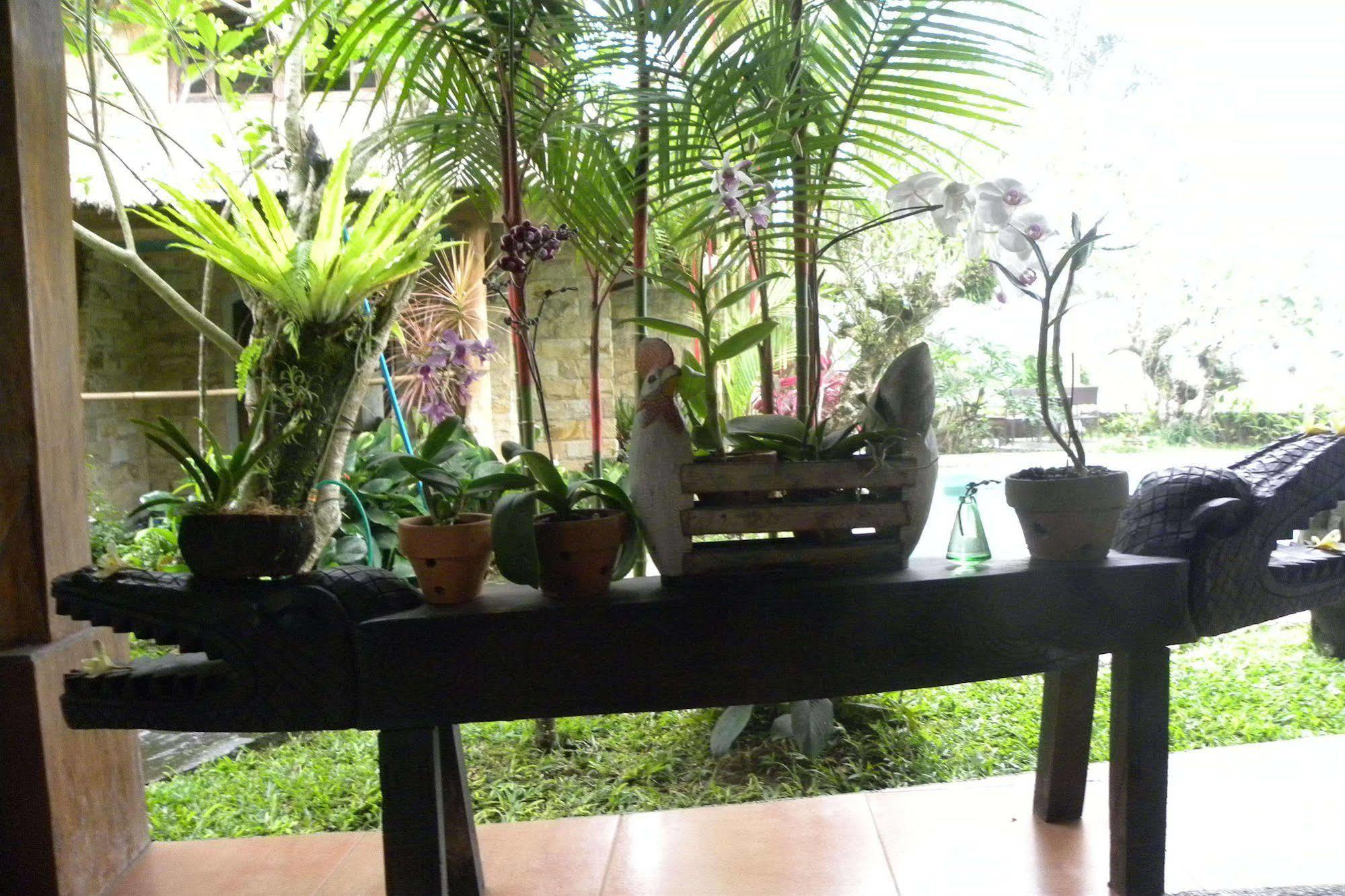 Saudara Home Ubud Dış mekan fotoğraf