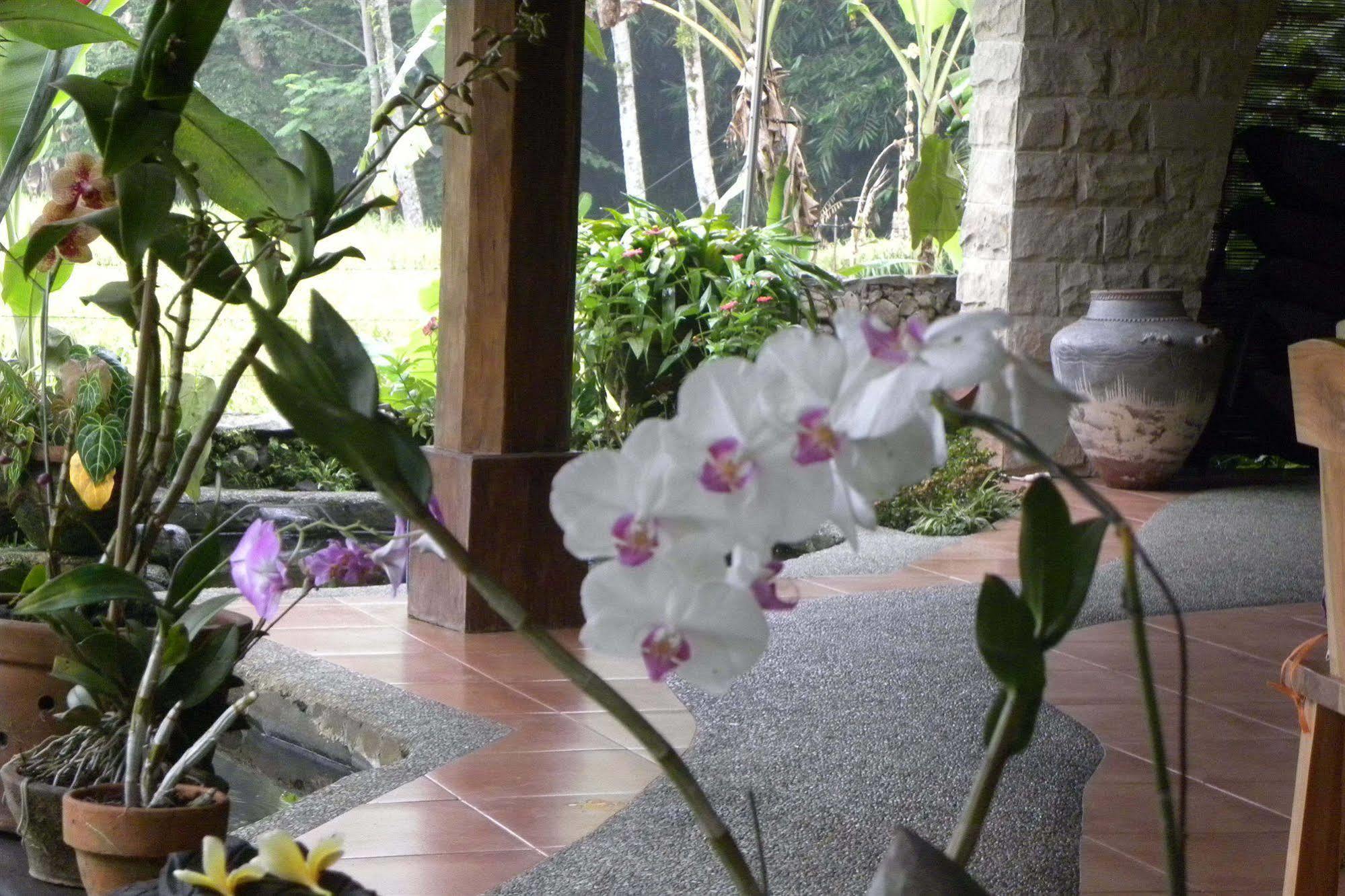 Saudara Home Ubud Dış mekan fotoğraf