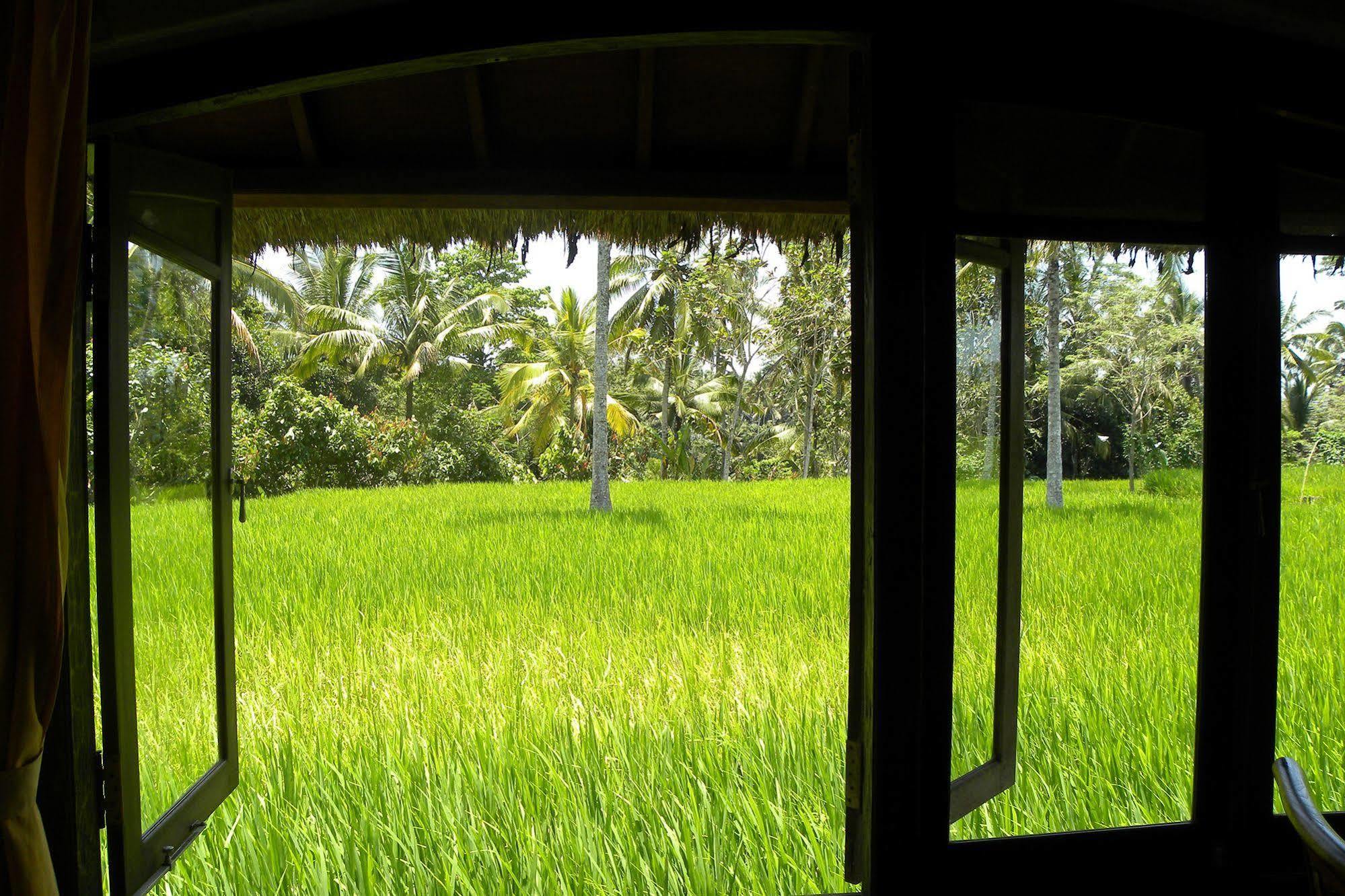 Saudara Home Ubud Dış mekan fotoğraf